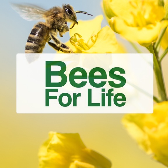 Bees for life