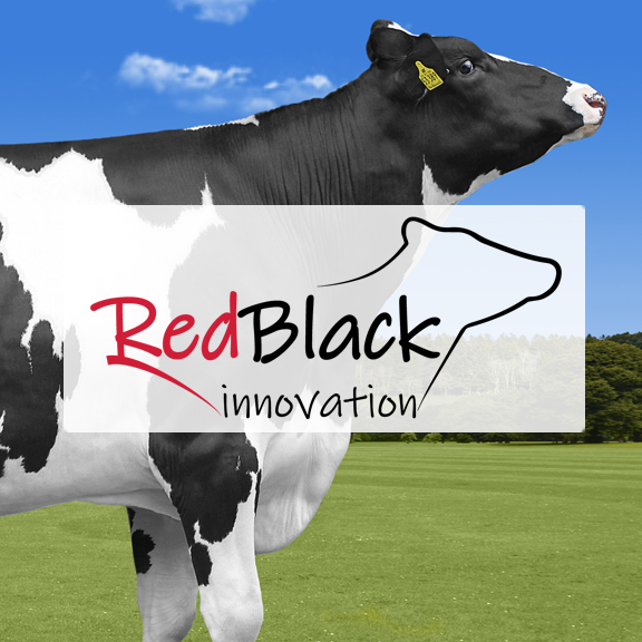 RedBlack Innovation